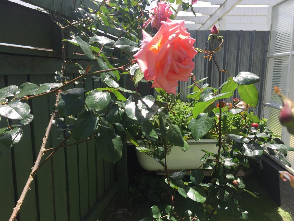 Cambridge Cottage - Self Catering Holiday House 외부 사진