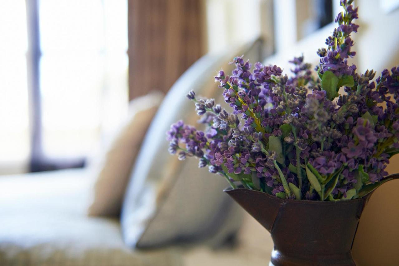 Cambridge Cottage - Self Catering Holiday House 외부 사진